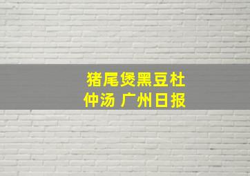 猪尾煲黑豆杜仲汤 广州日报